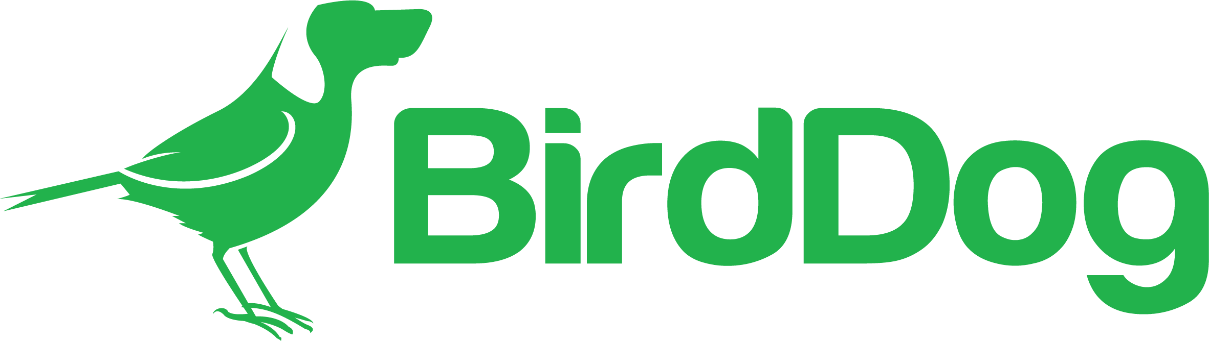 BirdDog Logo